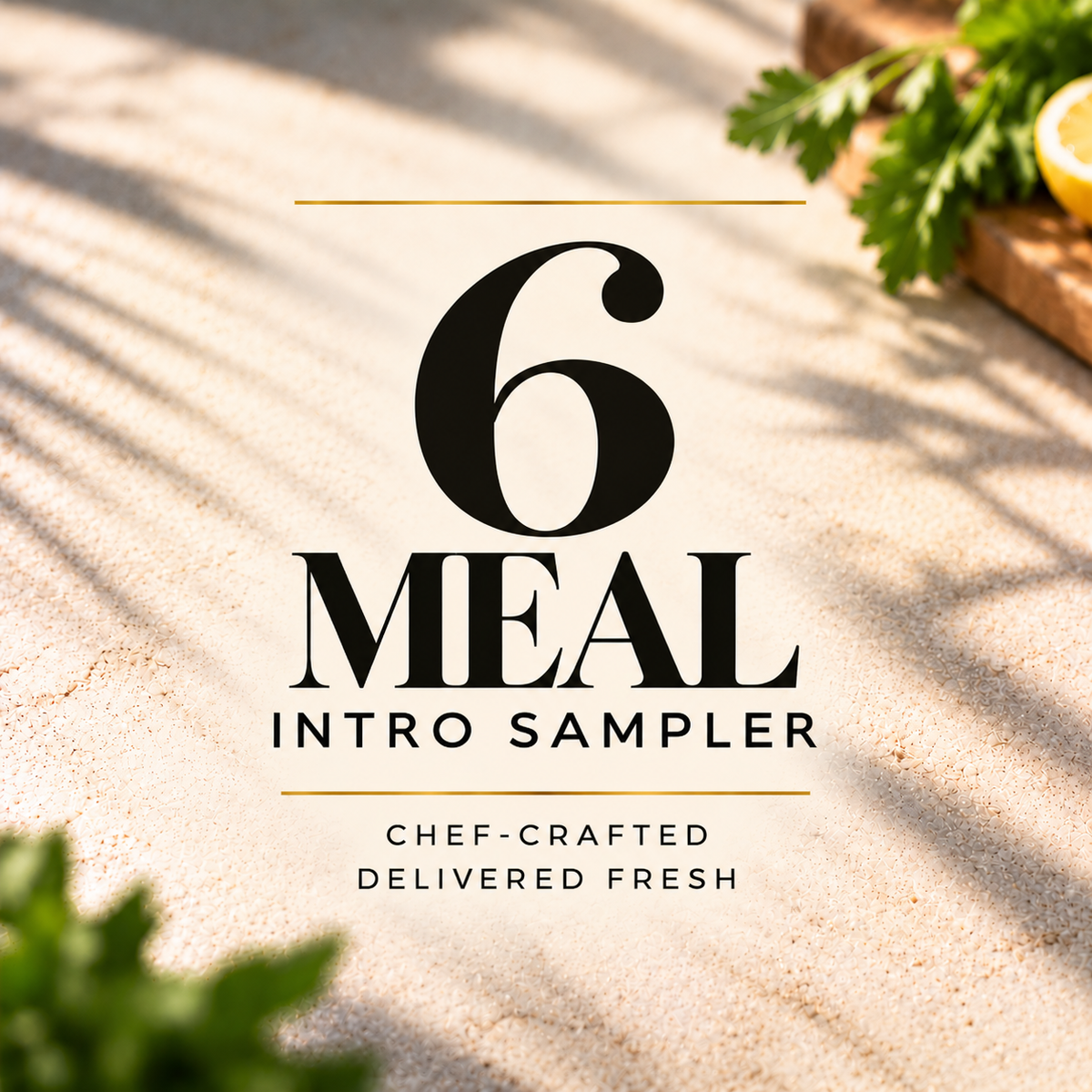 6-Meal Intro Sampler